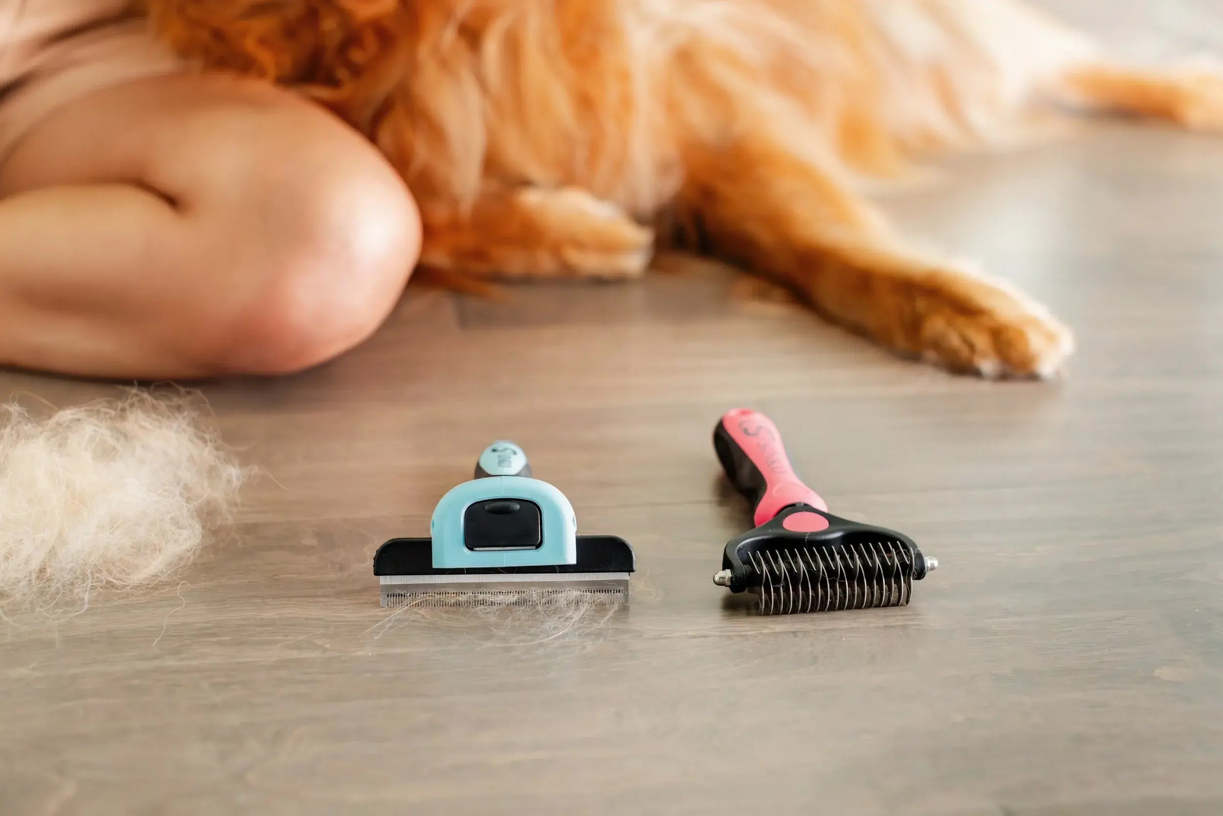 Master the Efficient Home Cat Grooming with a Deshedding Tool