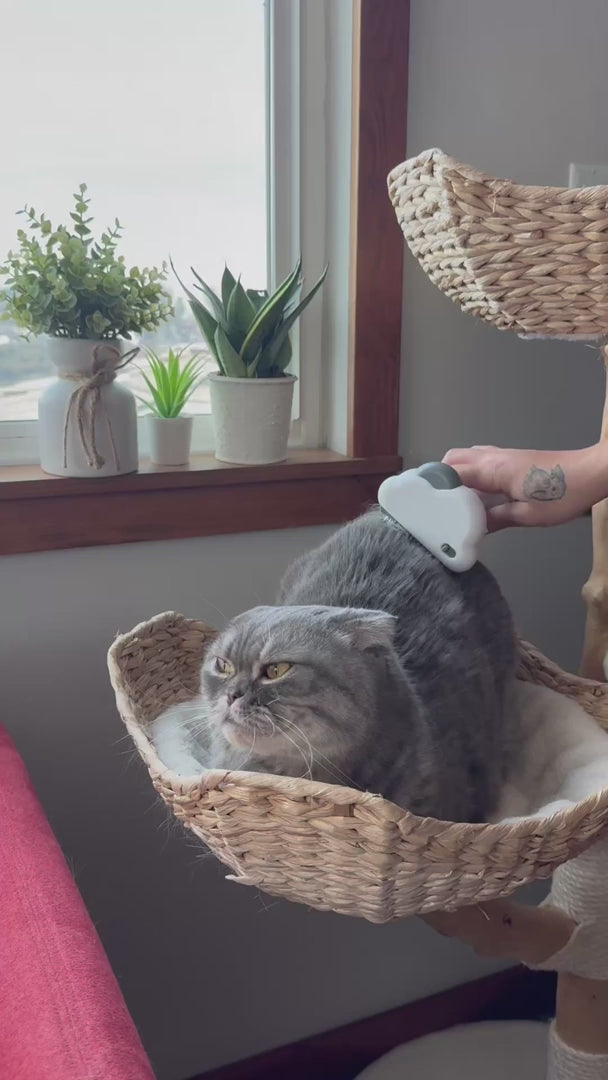 Sinko 3-in-1 Dog & Cat Grooming Brush